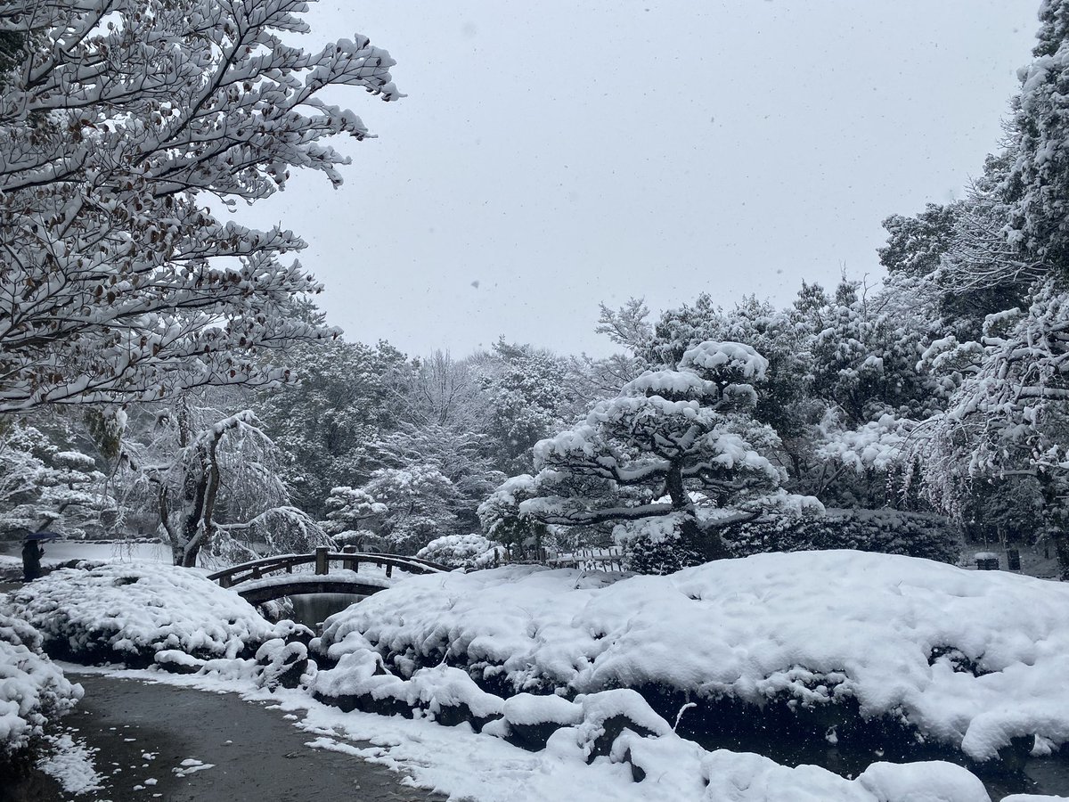 omichi0427's tweet photo. 雪すごすぎ❄️ https://t.co/RZgFrfhJjr