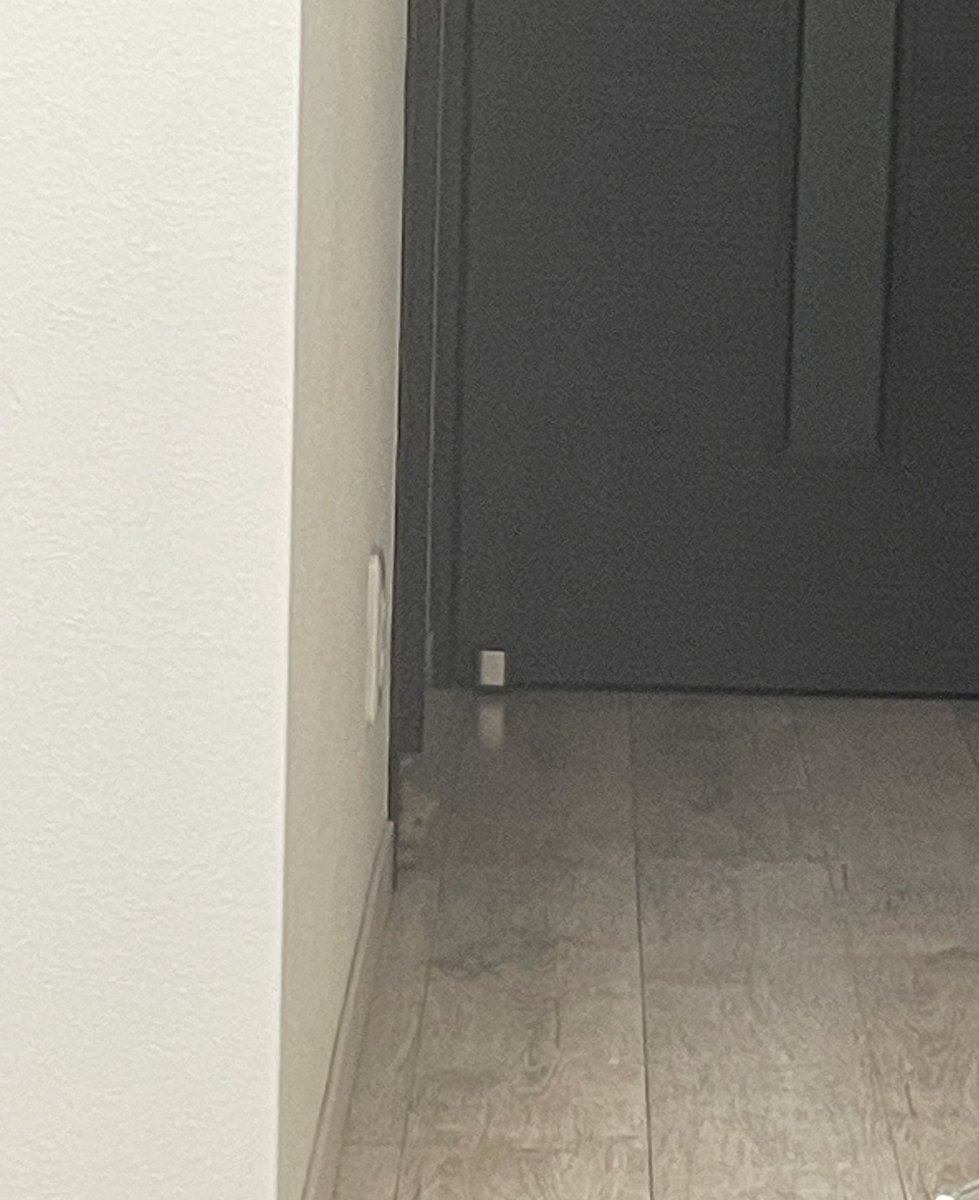 見えるか見えないかレベル🐹🔍✨