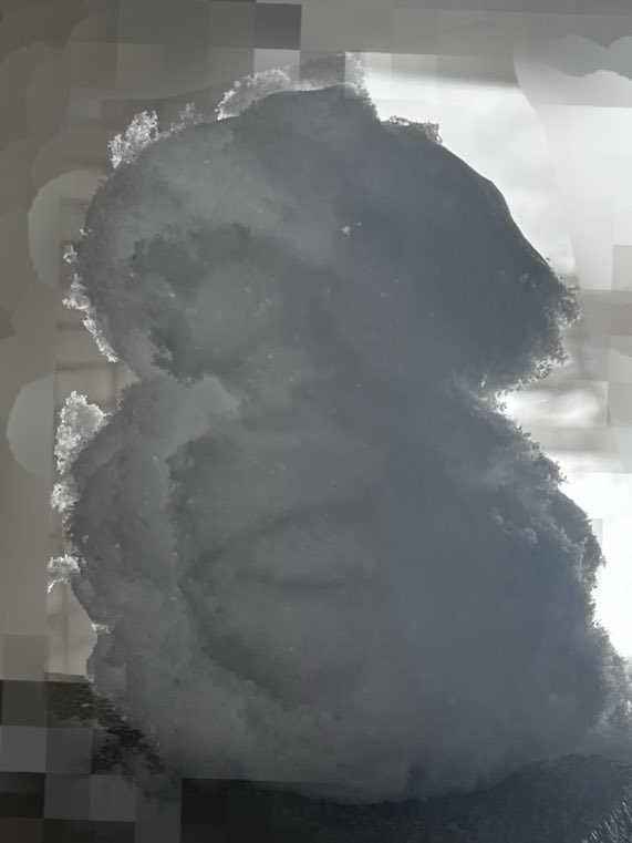 きくじ tweet media