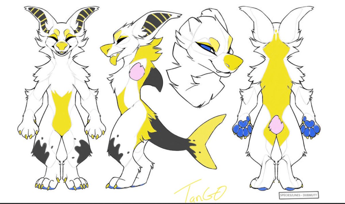 Tango Mango 🥭 tweet media