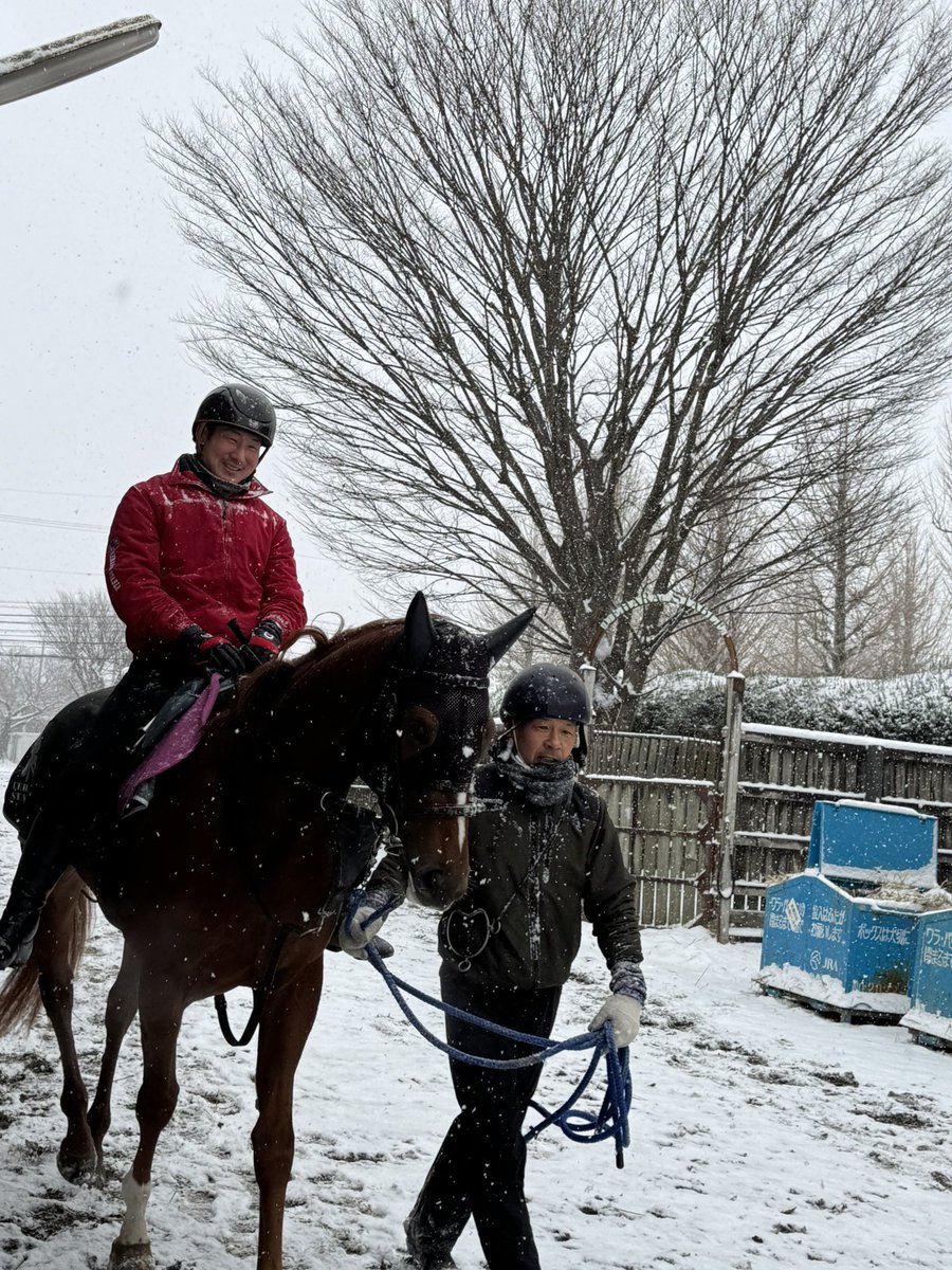 上原博之厩舎【ウエハラヒロユキキュウシャ🍀】 tweet media