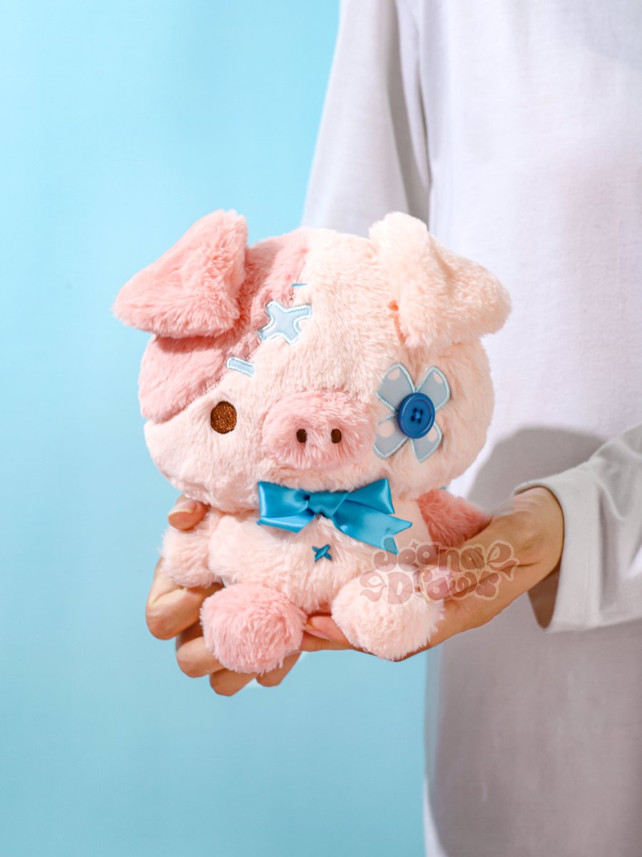 this is paisley the patchwork pig 🐽💙