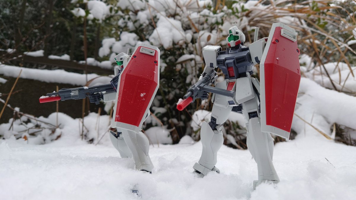 unknown01a_scar's tweet photo. 雪降ってジム寒冷地仕様があるならやる事は一つ……
#ジムあつまれ https://t.co/pDn2uWiilU