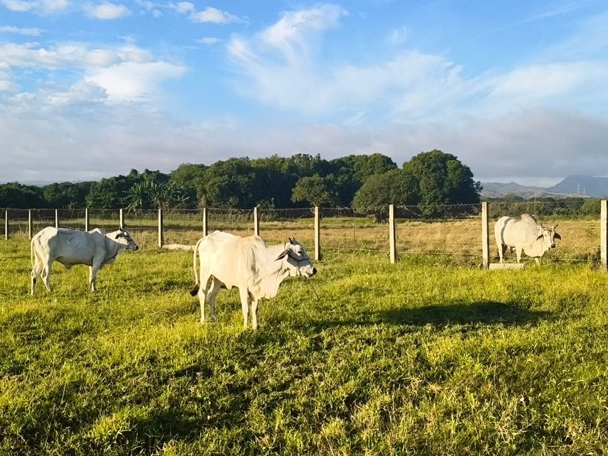 UD farmer tweet media