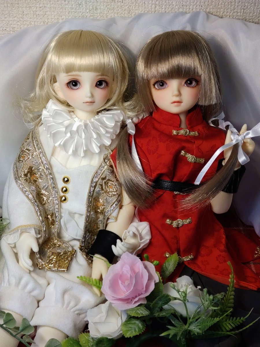 今日ハ2月8日ネ(星期日)✨️

哩賀☀香毒ダヨ💕

今日は八千夜と一緒ダヨ😆🪽💕
朝から雪がズット降ッテルヨ〜❄🧣
雪、積モッテルネ〜😳⛄️

主人？路面真滑，出門愛細膩喔〜❄🛝💦(路面滑るカラ、出かけるトキは気をつけてネ💦)
私、心配ダヨ…😞☁️

今日も一日加油～💕
#おはドル
#虎香毒ダヨ