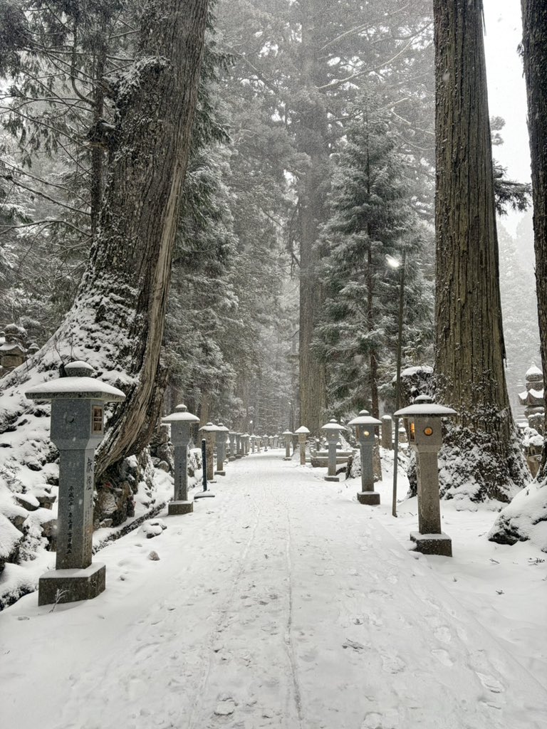 motas99's tweet photo. 高野山🏔️雪☃️ https://t.co/yxnzmejTnb