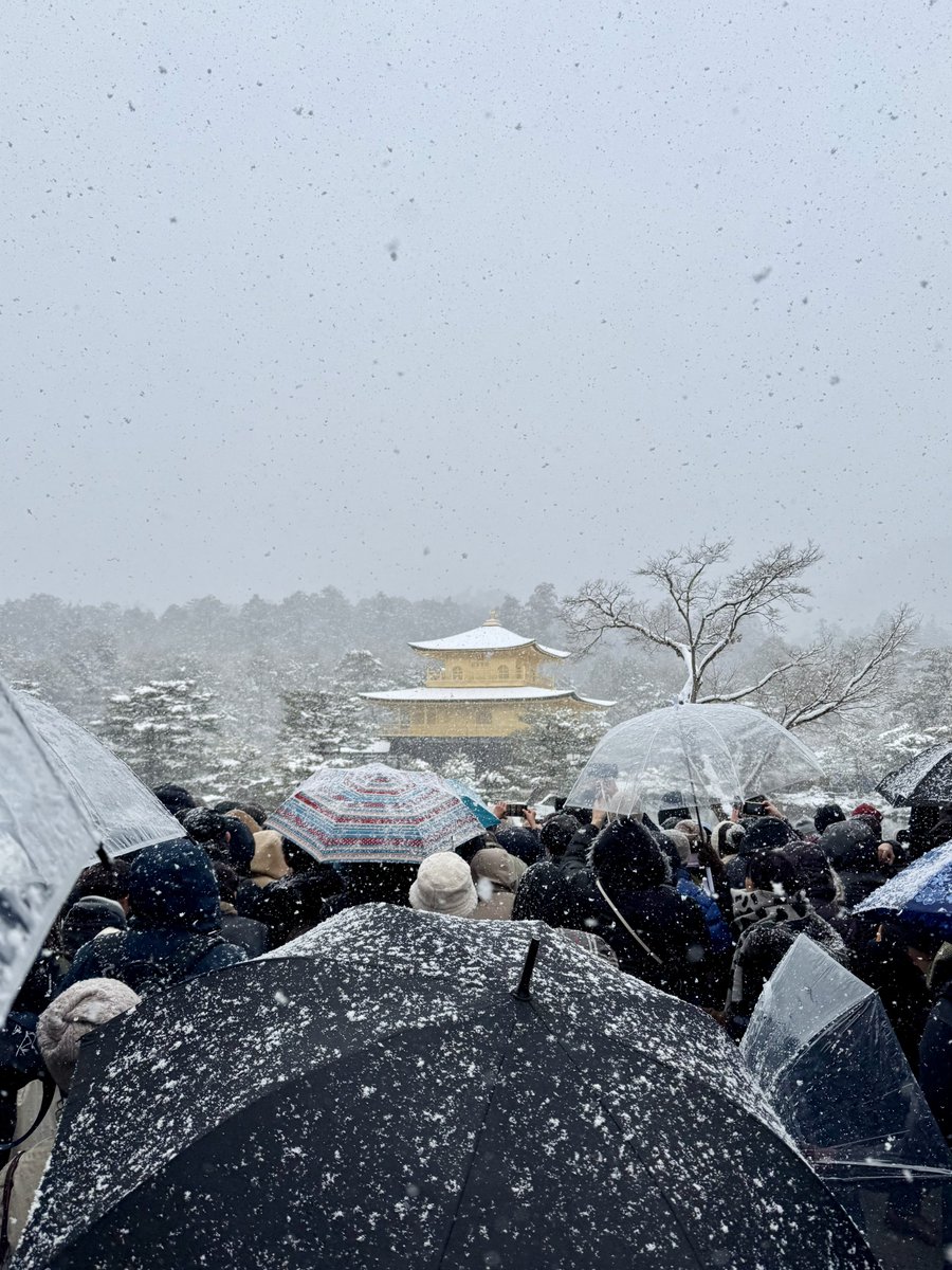 人も雪もやばい😇