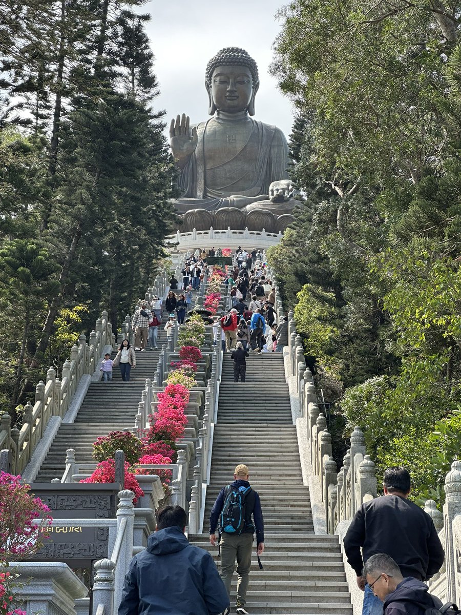 𝚠𝚒𝚖𝚊𝚕 tweet media