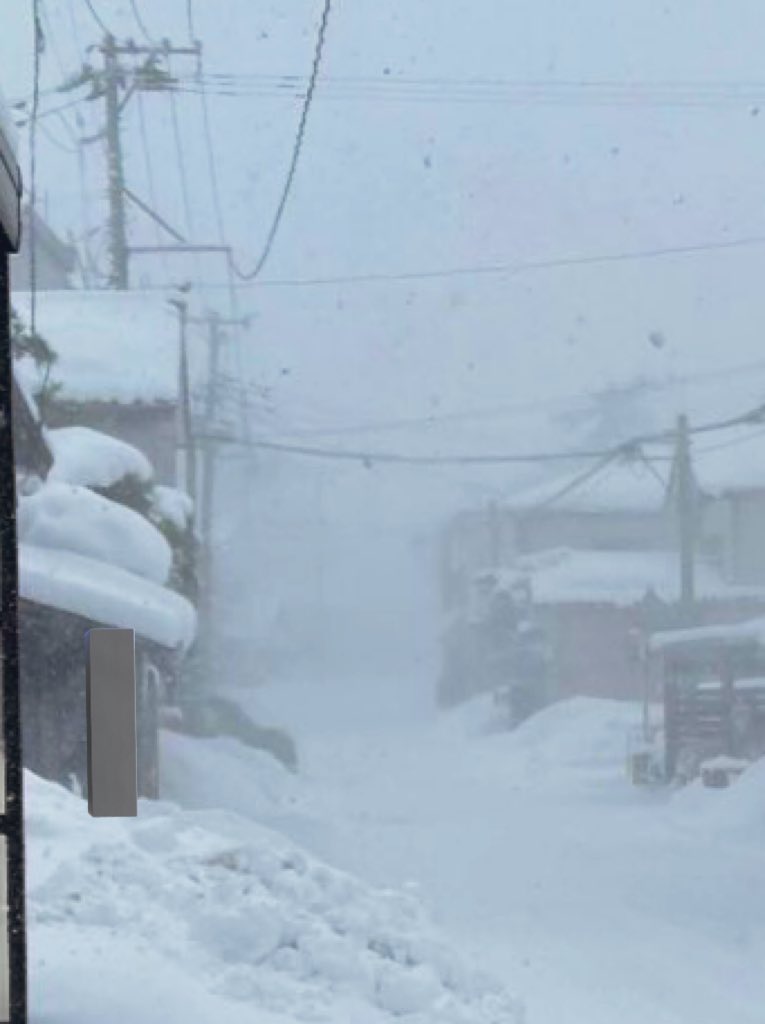 この中投票してきたよ(ガチ)