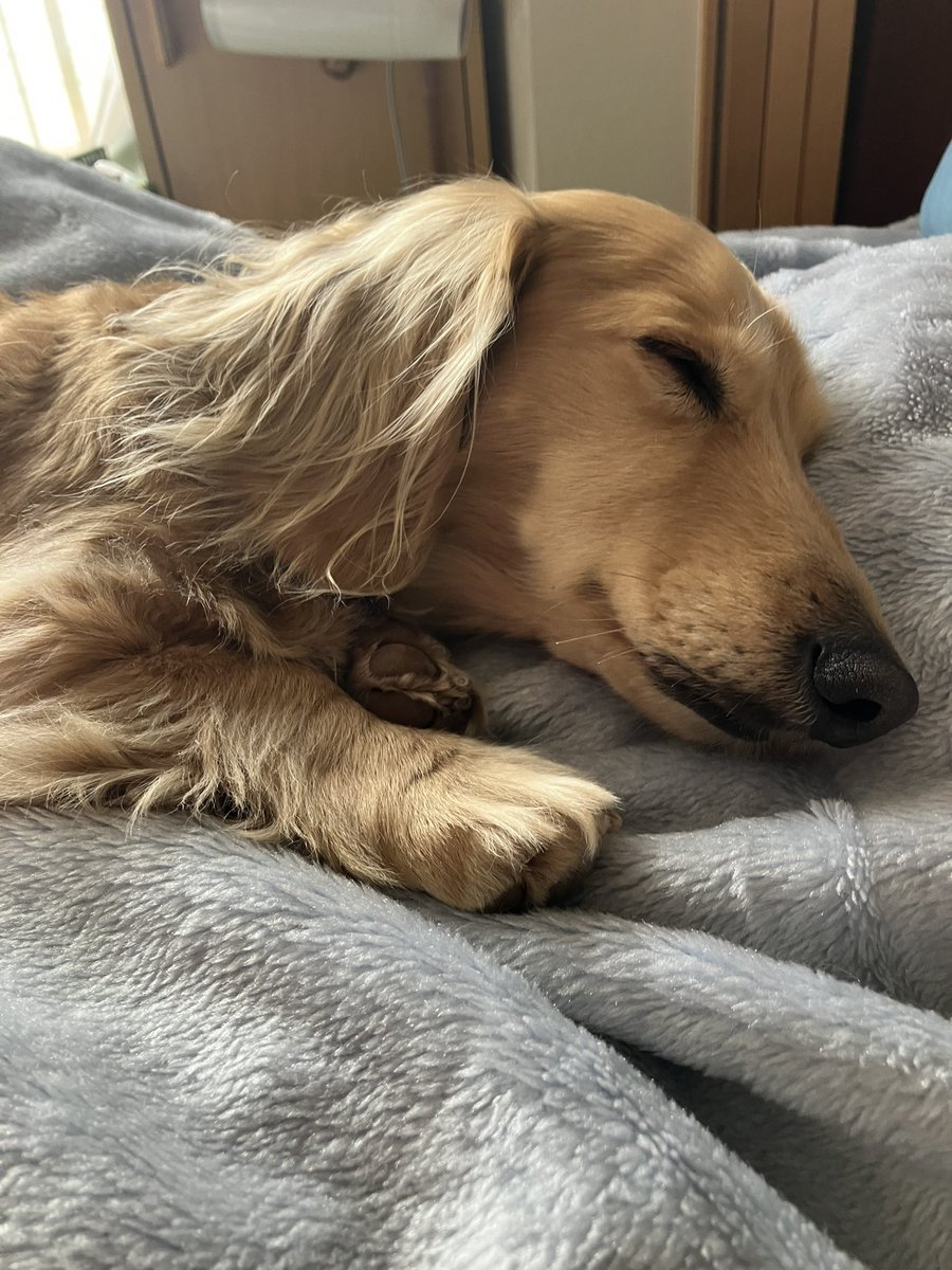 白黒たっぐ (@wbbook_luck) on Twitter photo 