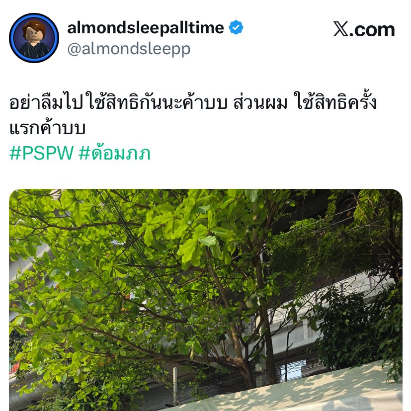 flowershineee3's tweet image. เลือกตั้งครั้งแรกลูกพี่ผมโคตรเท่ ยืนพ้อยคากาเบอร์กาพรรคที่ชอบ เริ่ดว่ะ สุดทุกทางจริงๆ หล่อค้าบบ ทุกคนอย่าลืมไปใช้สิทธิกันนะค้าบบบ🫵🏻💙

#Almondbabybigboy @almondsleepp