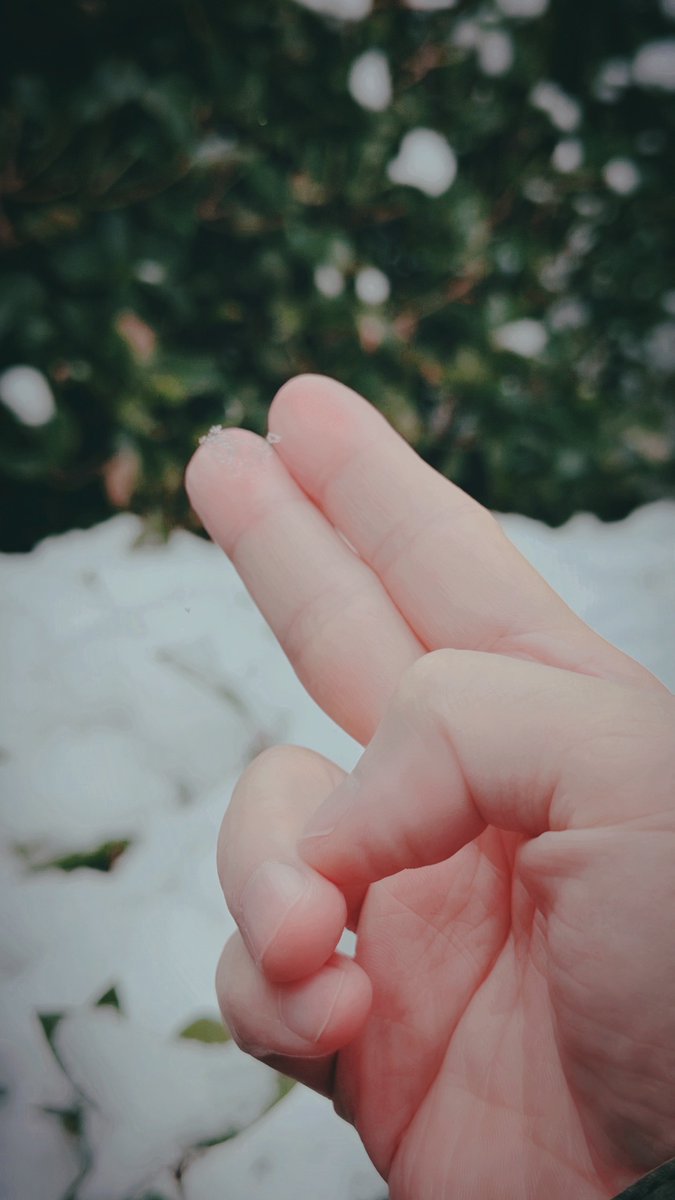 投票うぃ✌️❄︎