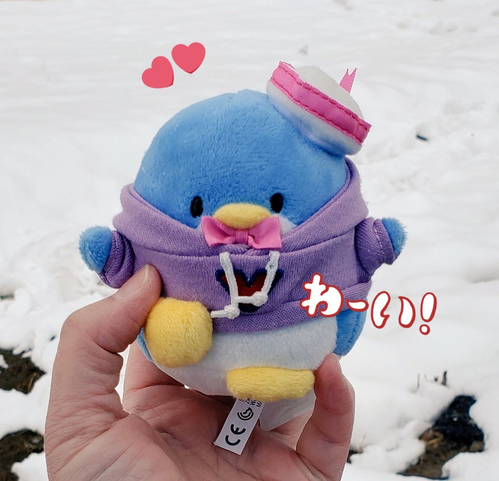 ちゃむまろ (@ZZw75IfJp5lYZ9Z) / Posts / X