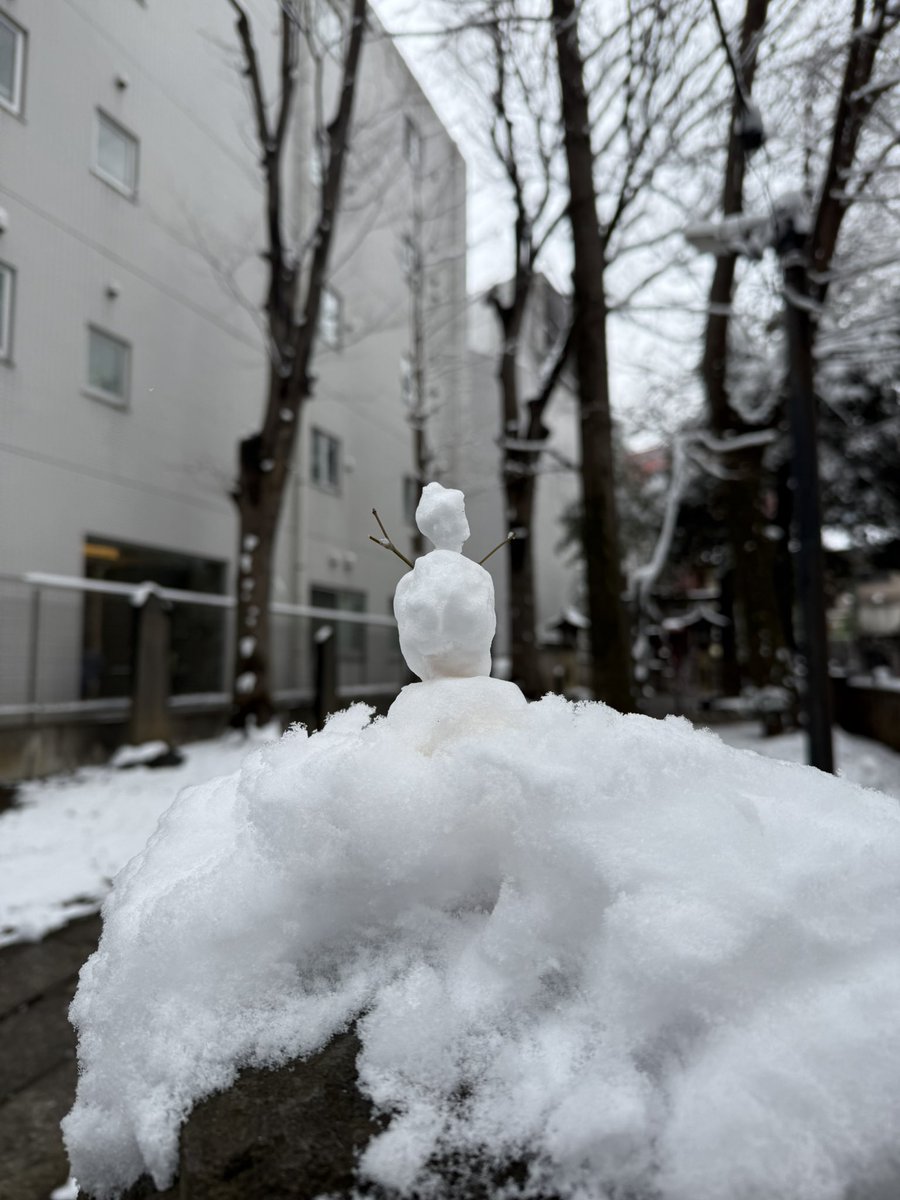 山中 (@o____1230) on Twitter photo 