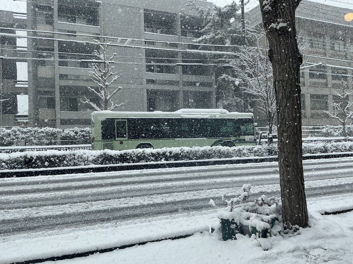 cafecollection1's tweet photo. 窓から雪のパノラマが見られます。来週はマラソンのパノラマです。 https://t.co/HZnvXfccvm