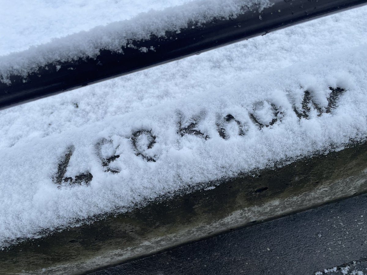 KaoLee 🩶🩷 tweet media