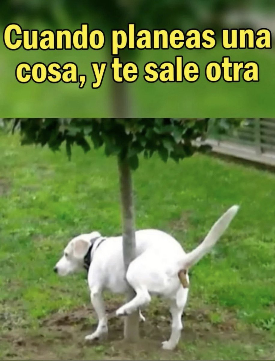 poderperrunoG's tweet photo. Suele suceder…. https://t.co/ajpMYzLHNC