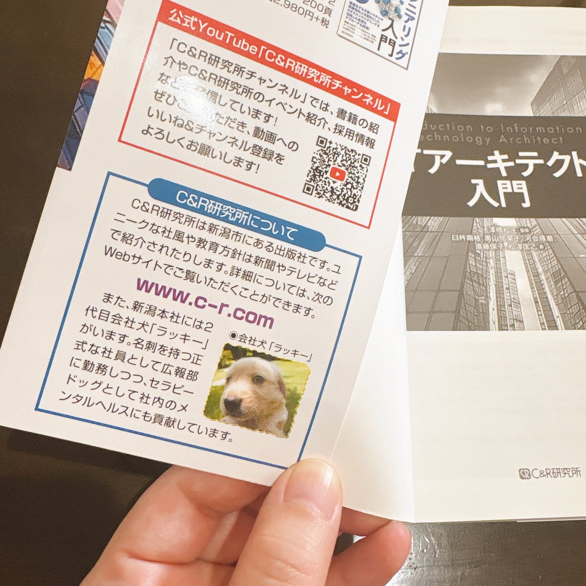 未経験すぎてマジで何もわからん状態なのはまずいと思い買った本
表紙めくっていきなりなんか良かった