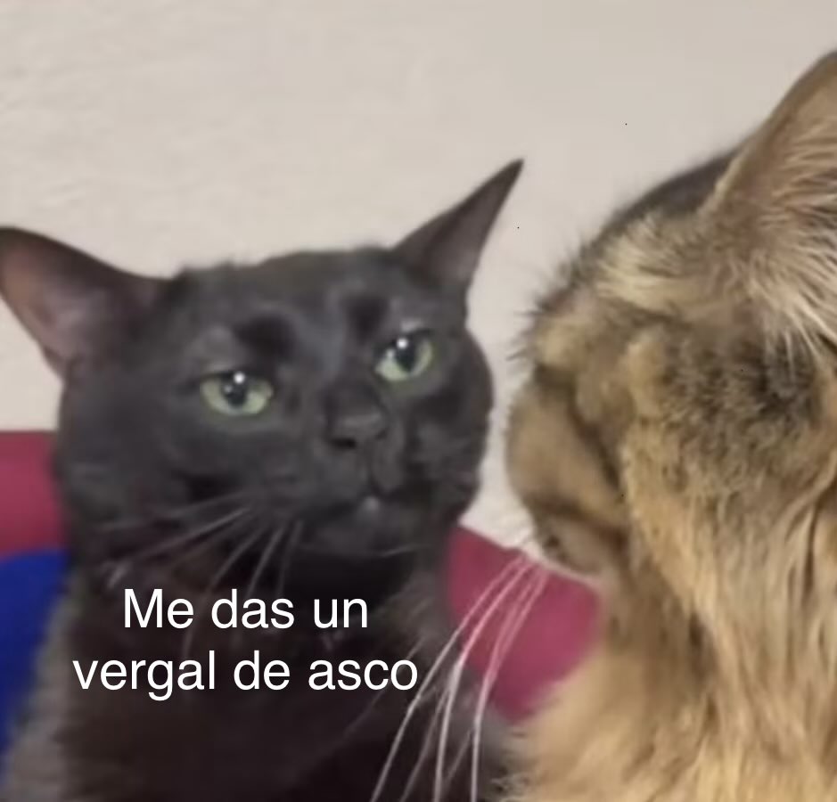 Lic. Pugberto Flores 🍥 tweet media