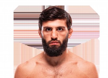 The Fight Fanatic tweet media