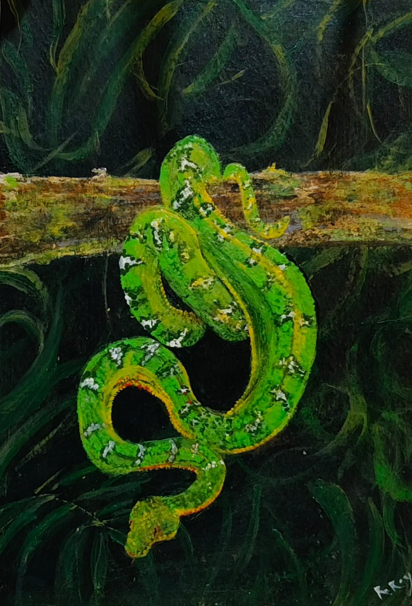 "Emerald Guardian"
A silent guardian coiled in emerald hues — calm, powerful, and ever watchful.
This artwork captures the quiet strength and mystery of nature’s most misunderstood protector. 🌿🐍 #Art #Painting #SnakeArt #WildlifeArt #NatureInspired
#AcrylicPainting #ArtistLife