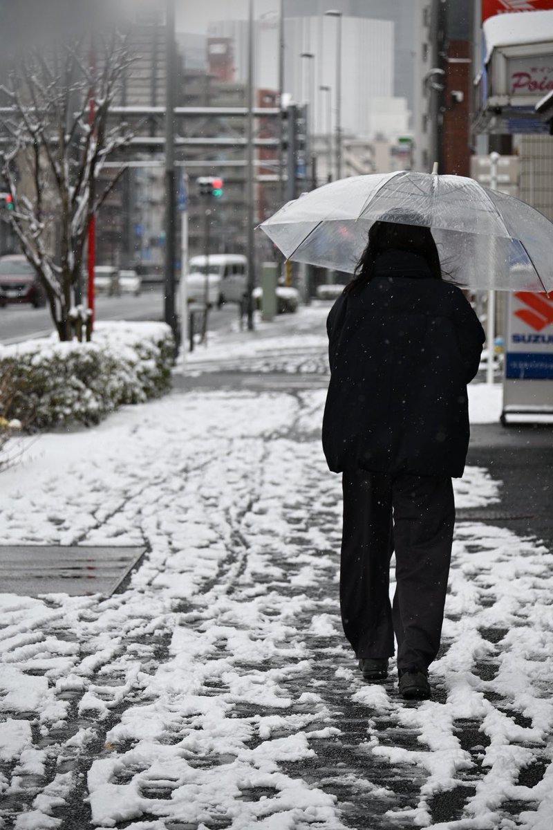 朝起きたら横浜にも雪が爆誕してました！
選挙行ってきました！