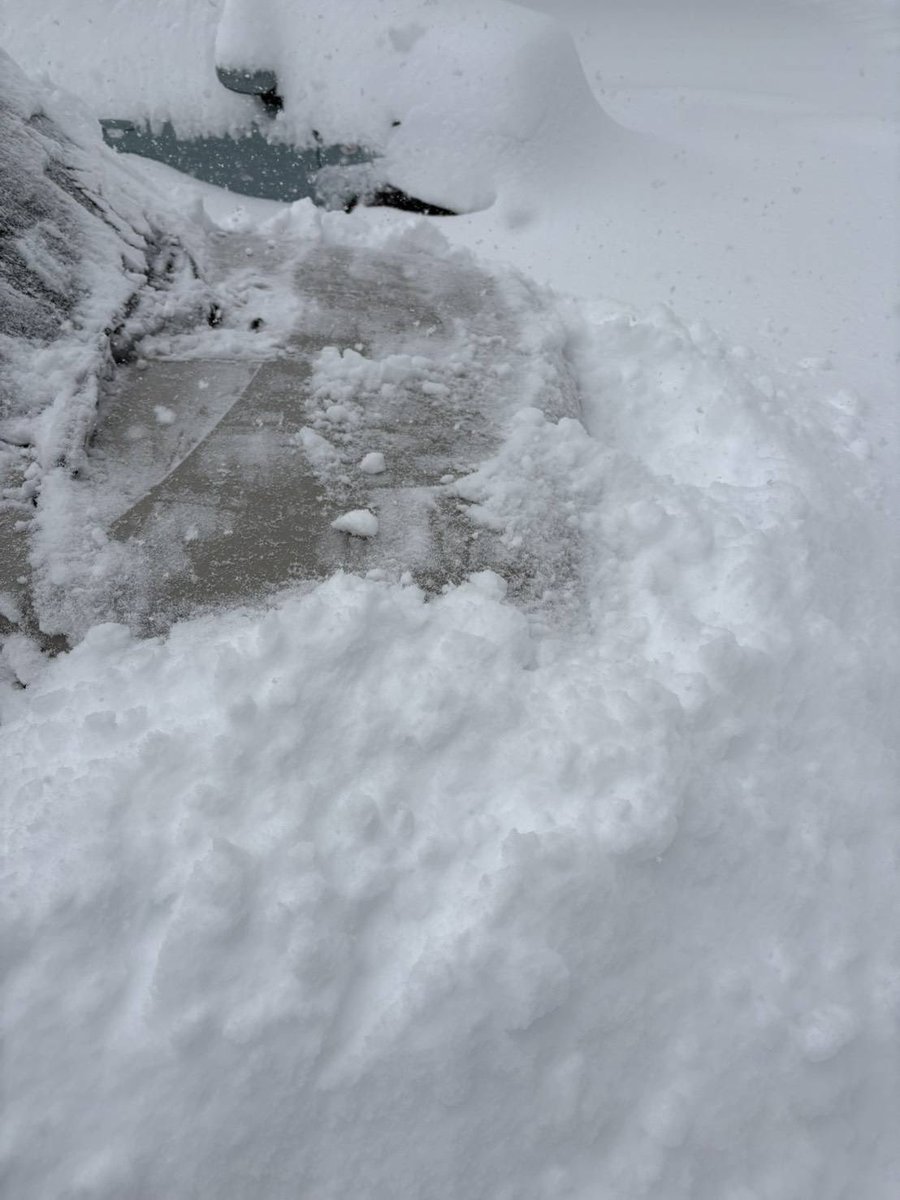 2/8 正午頃 智頭町の雪】 智頭地区の積雪は約50cm。昨夜から大雪が続き