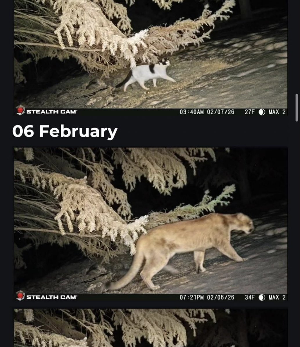 Teton (@tetontrading) on Twitter photo 