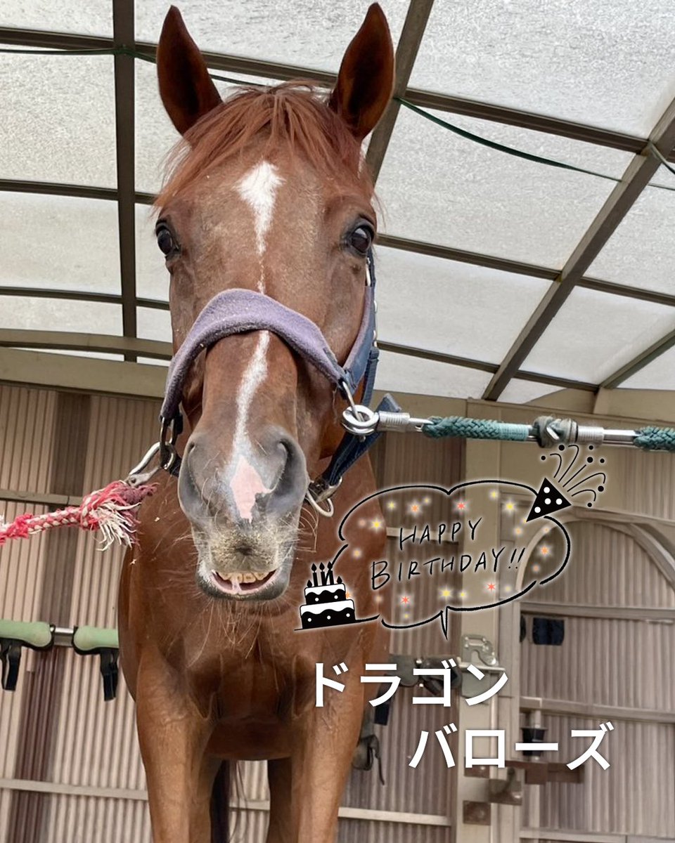 的場文男 (@fumio230uma) / Posts / X