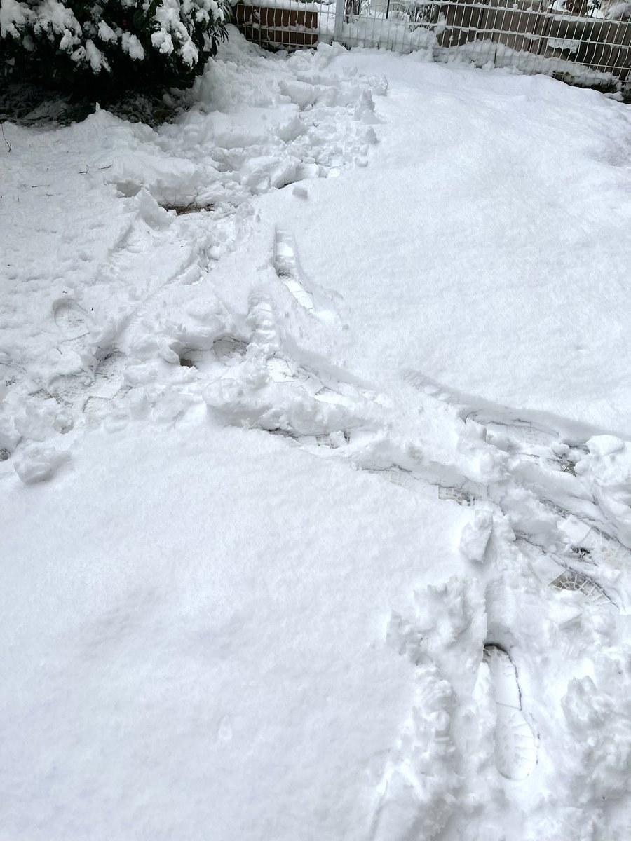 やっと雪止んだけど〜💦
とりあえず枝折れそうなので、木の雪だけおろしたョ〜。
結構積もってるね〜(›´ω`‹ )