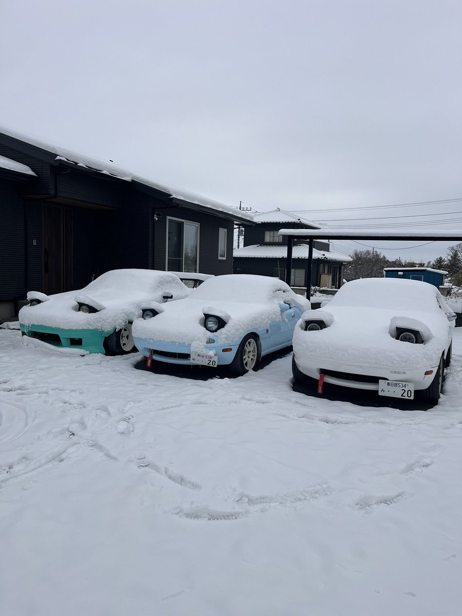 paaaaaanda05's tweet photo. ❄️🐸 https://t.co/VIYxQFBhdl