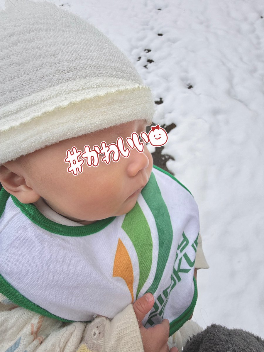 初めて雪を見るボーイ(前回市街地積もってなかった)