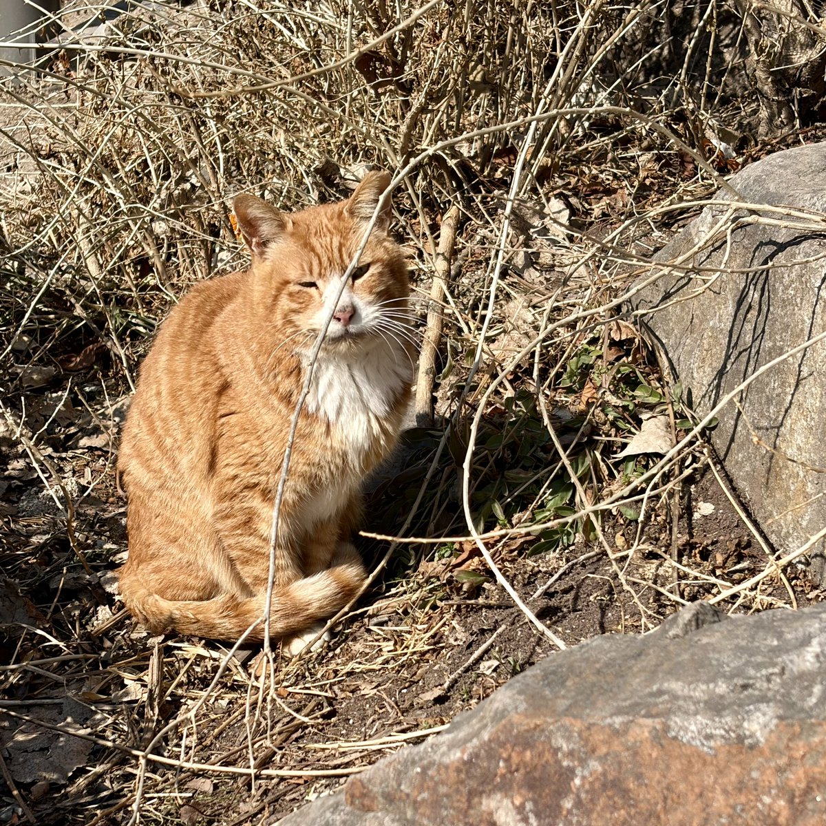 니가 너무 그리워서 함께 걷던 천변 뚝방길에서 울었네