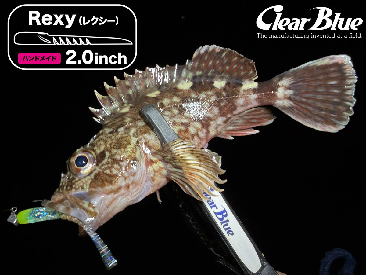 ［レクシー2.0inch］
 
クイックな動きが特徴！🤣👈
水中で一瞬止まる！🤣👍

#PR #clearblue #アジング #しんさんの釣り #四国青組