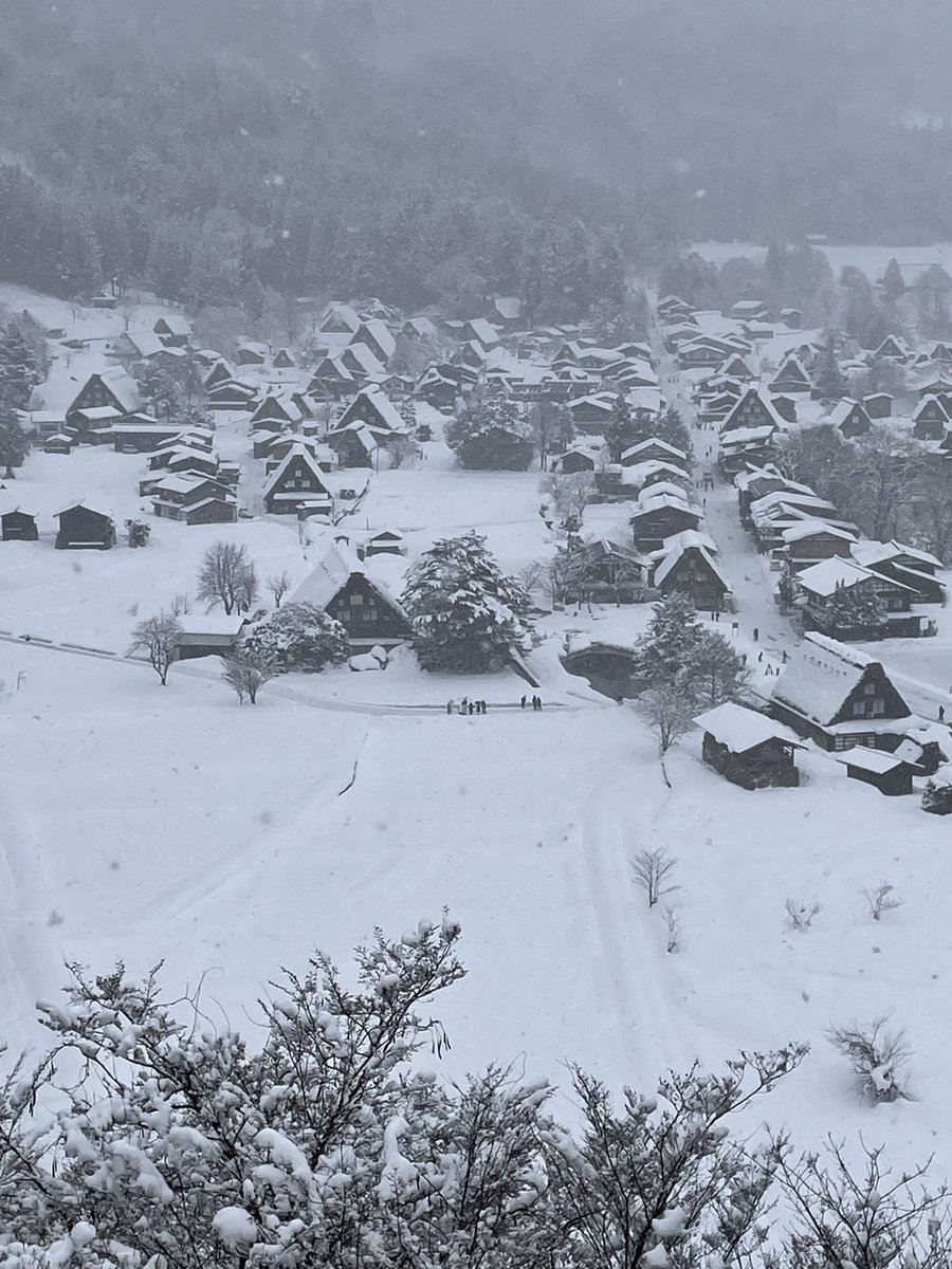 今日の白川郷（雛見沢）❄️