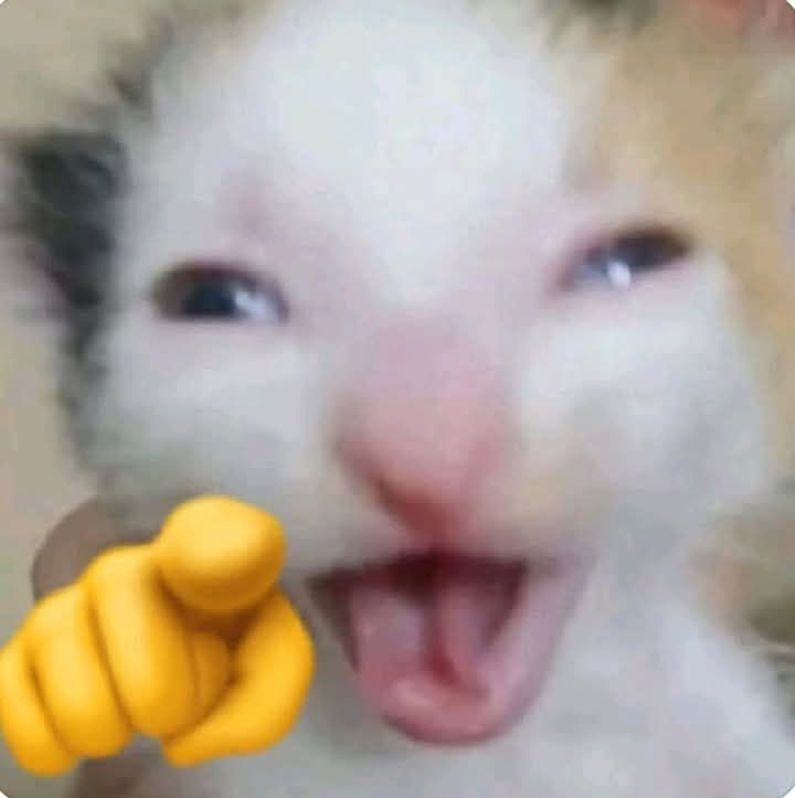 Leitaaa (@hydlean) on Twitter photo 