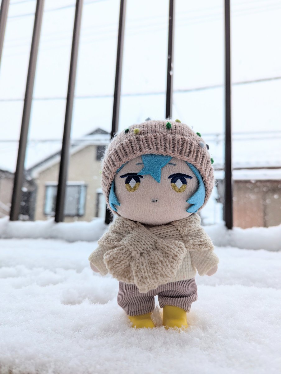 ﾊｧ ﾊｧ　ゆき　つもた❄☃️❄