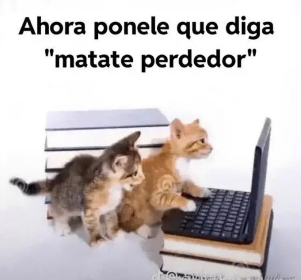 PantuflaRapada's tweet image. 