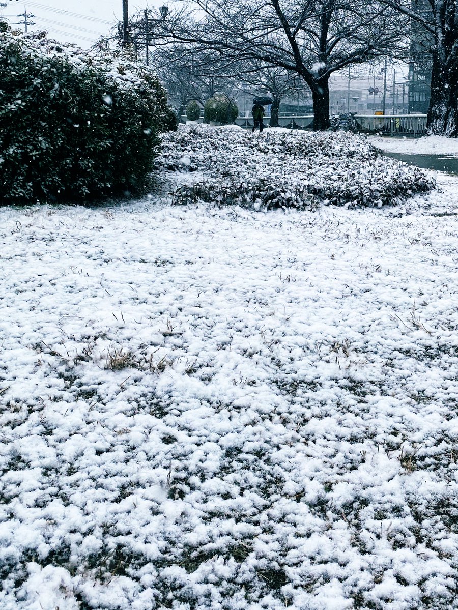 大雪をものともしない京阪さんが好きです