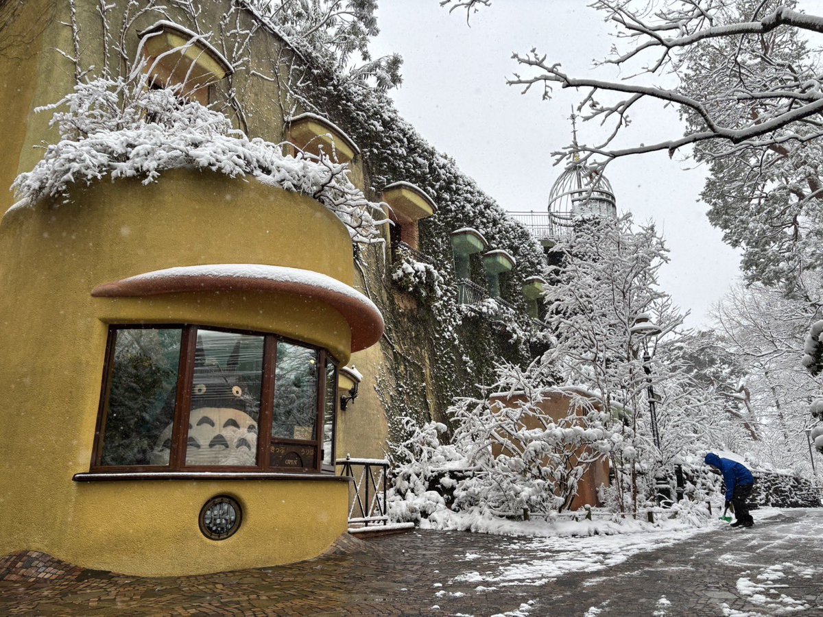 今朝は三鷹もこんなに雪が降りました❄️

美術館は通常どおり開館しますが、本日は券面の予約指定時間に遅れても入場できます。

屋上などの一部は、滑りやすく危険なため封鎖しますが、スタッフ一同で雪かきしてお待ちしております。

安全第一に、足元に気をつけてゆっくりお越しください。