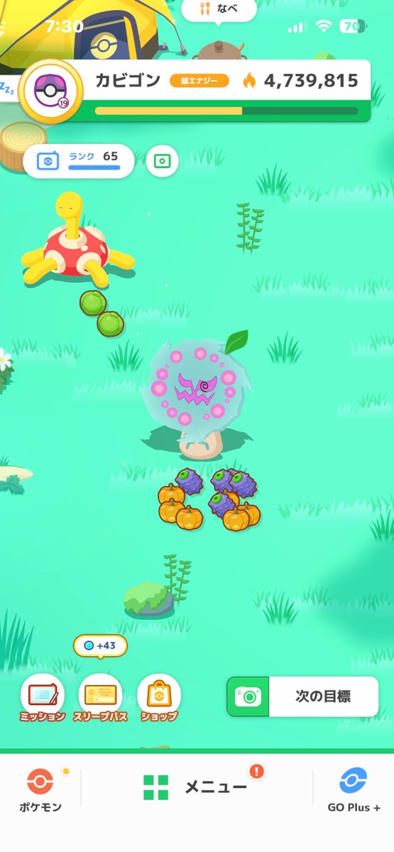 色ミカルゲ偉いね❣️