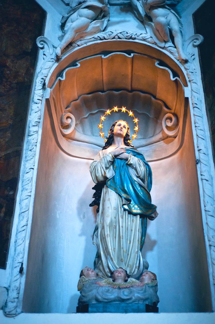 SkyVirginSon's tweet image. Dios te salve, Reina y Madre de misericordia;
vida, dulzura y esperanza nuestra, Dios te salve.
A ti clamamos los desterrados hijos de Eva;
a ti suspiramos, gimiendo y llorando,
en este valle de lágrimas.
Ea, pues, Señora, Abogada nuestra,
vuelve a nosotros esos tus ojos…