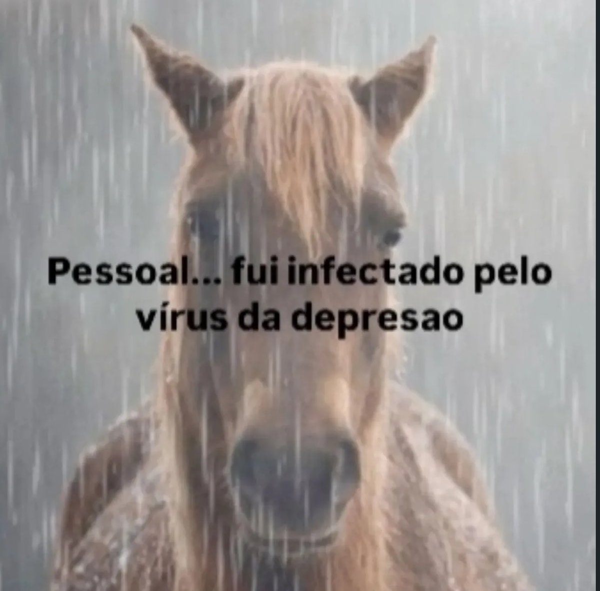 Shitpost só que de verdade tweet media