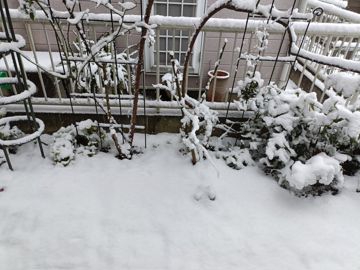 雪で投票率が下がるだろうからこそ、戦争を止めたい方はチャンスだと思って投票に行きましょうね