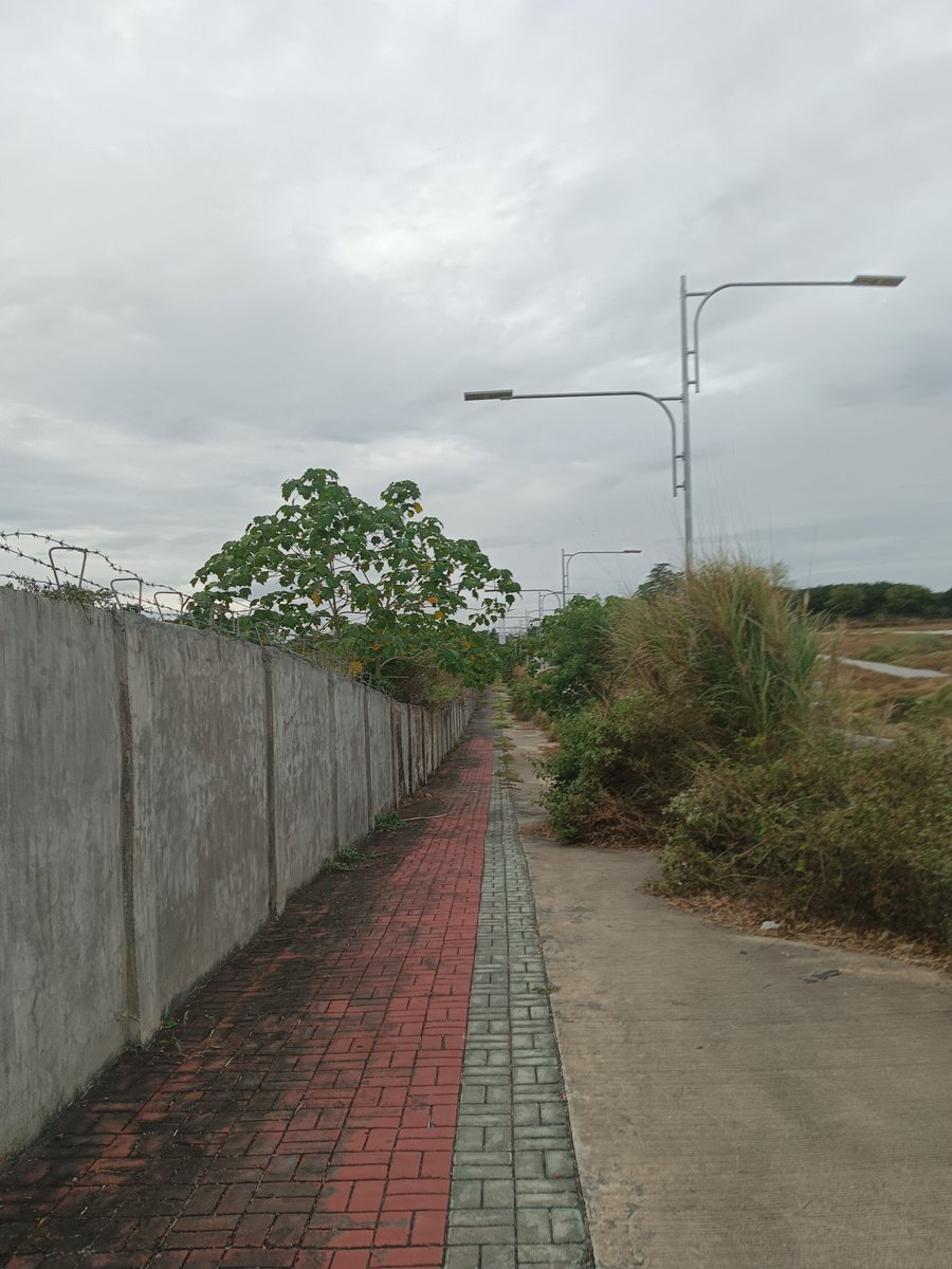 Tito RED👿 tweet media