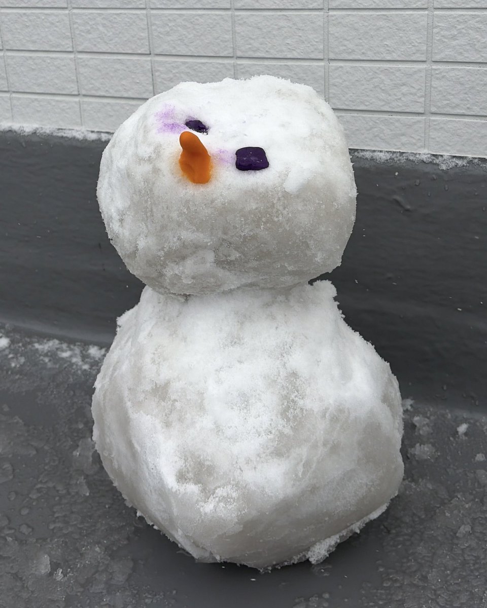 東京で雪☃️

子供と雪だるま作ったんだけど、
めっちゃ可愛くできた🥰
粘土で目と鼻をつくるのオススメ！