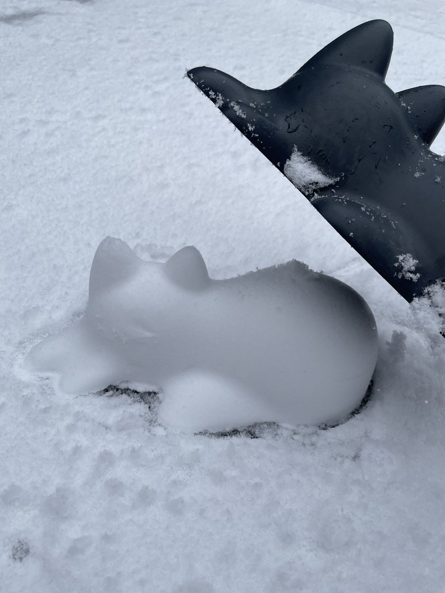 ✐かべち。 tweet media