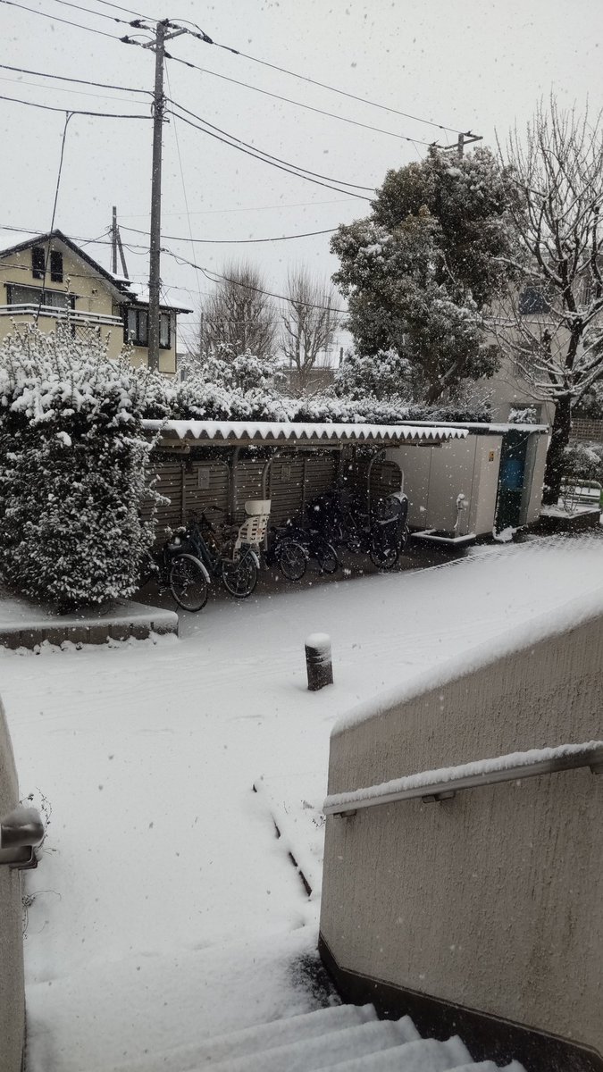 yBnACgiFYU78151's tweet image. #都内積雪
#1cm？
ニュースでは都内積雪1cmと言っていたけと、私住んでいる23区
1cm以上ぽく見えるんですが…
大雪、強風注意報