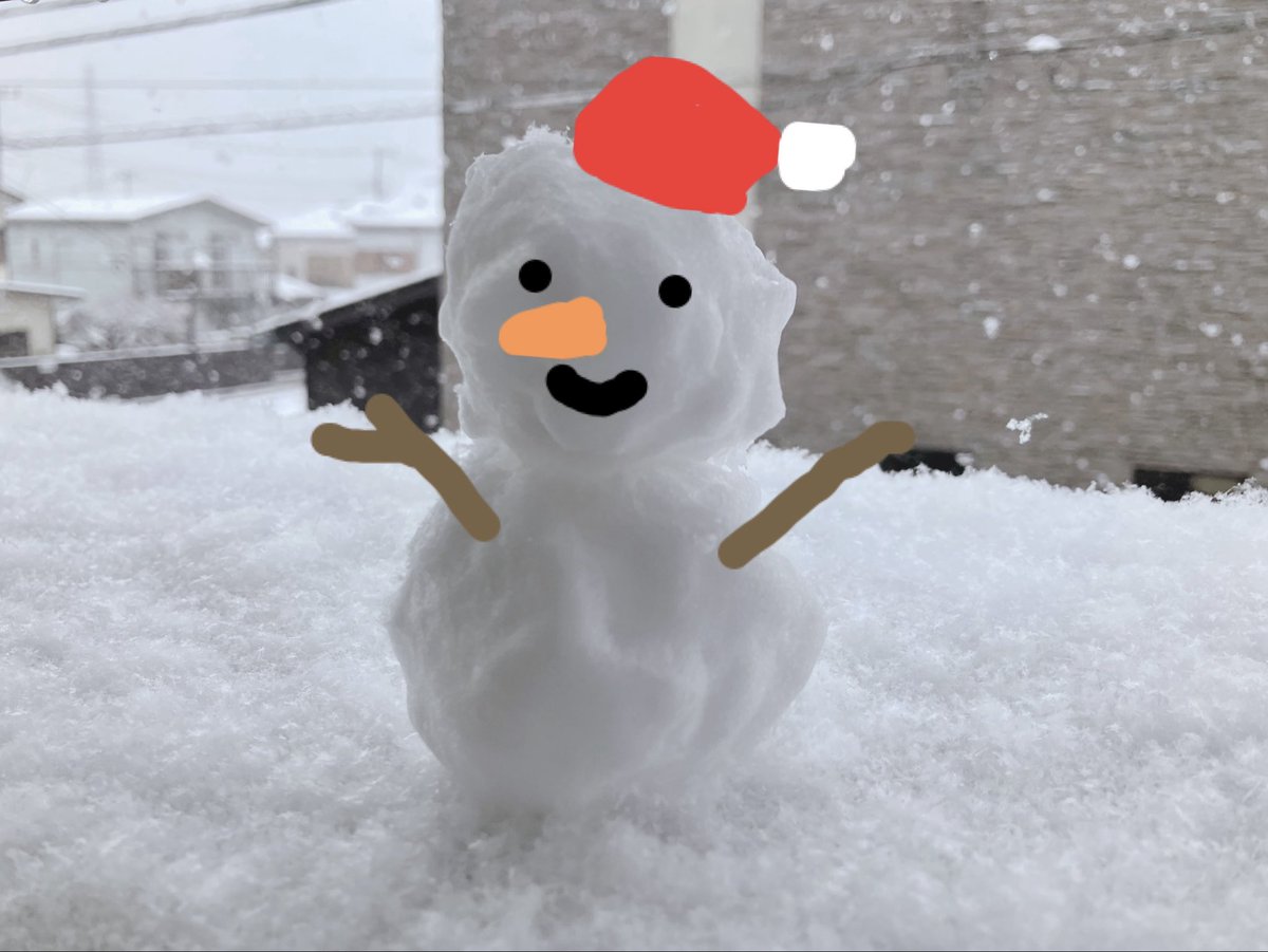青森出身あるあるなのかな…埼玉に雪が降ったらとりあえず雪だるま作っておく⛄️
