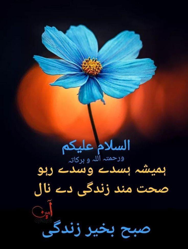 ﷽
السلام علیکم ورحمتہ اللہ وبرکاتہ 🌹 

#خاتم_النبیین_محمدﷺ
#درود_وسلام 

ياالله کریم آپ واحد بادشاہ ہیں جو مانگنے پرخوش اور نہ مانگنے پر ناراض ہوتے ہیں ، شہ رگ سے بھی قریب ہمارے رب ہم سے راضی و خوش ہوجائیں، اور ہماری فریادیں قبول فرمالیں،
آمین ثمہ آمین